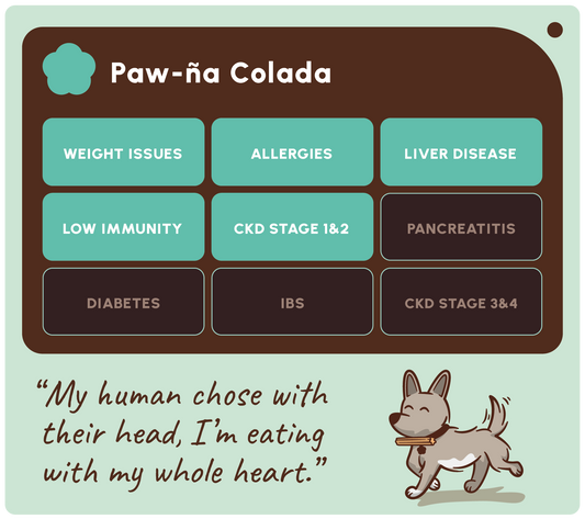 SOOPA HEALTHY BITES PRZYSMAK DLA PSA PAW NA COLADA 50G