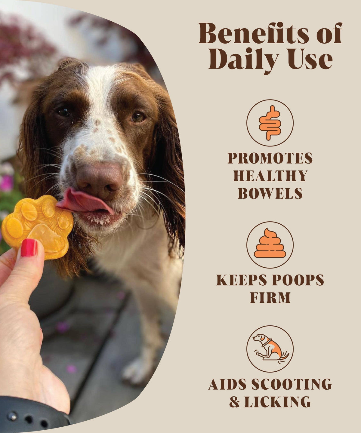HACKNEY DOG HOUSE PROSZEK Z DYNI DLA PSÓW | ALTERNATYWA DLA PUREE Z DYNI
