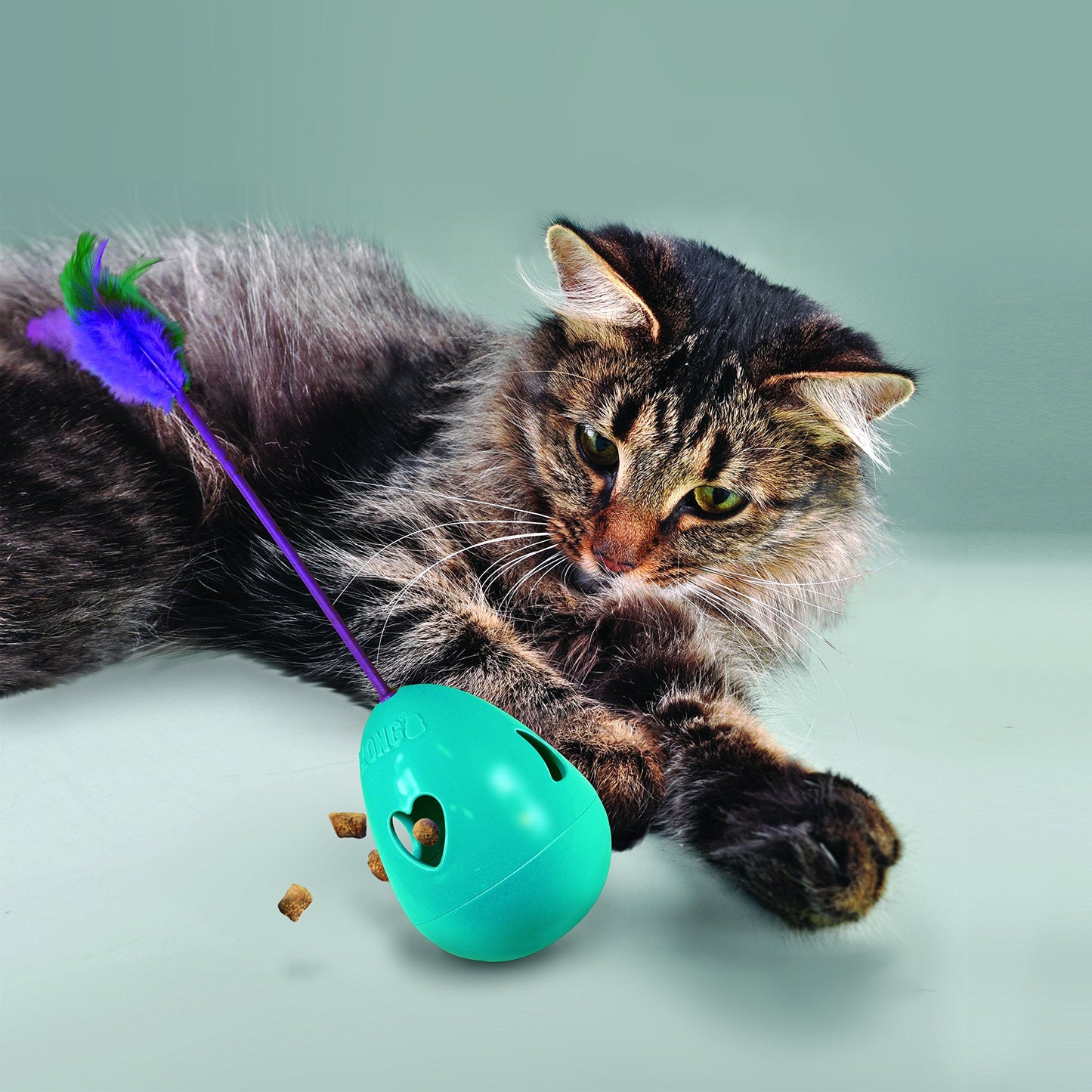 KONG CAT INFUSED TIPPIN TREA