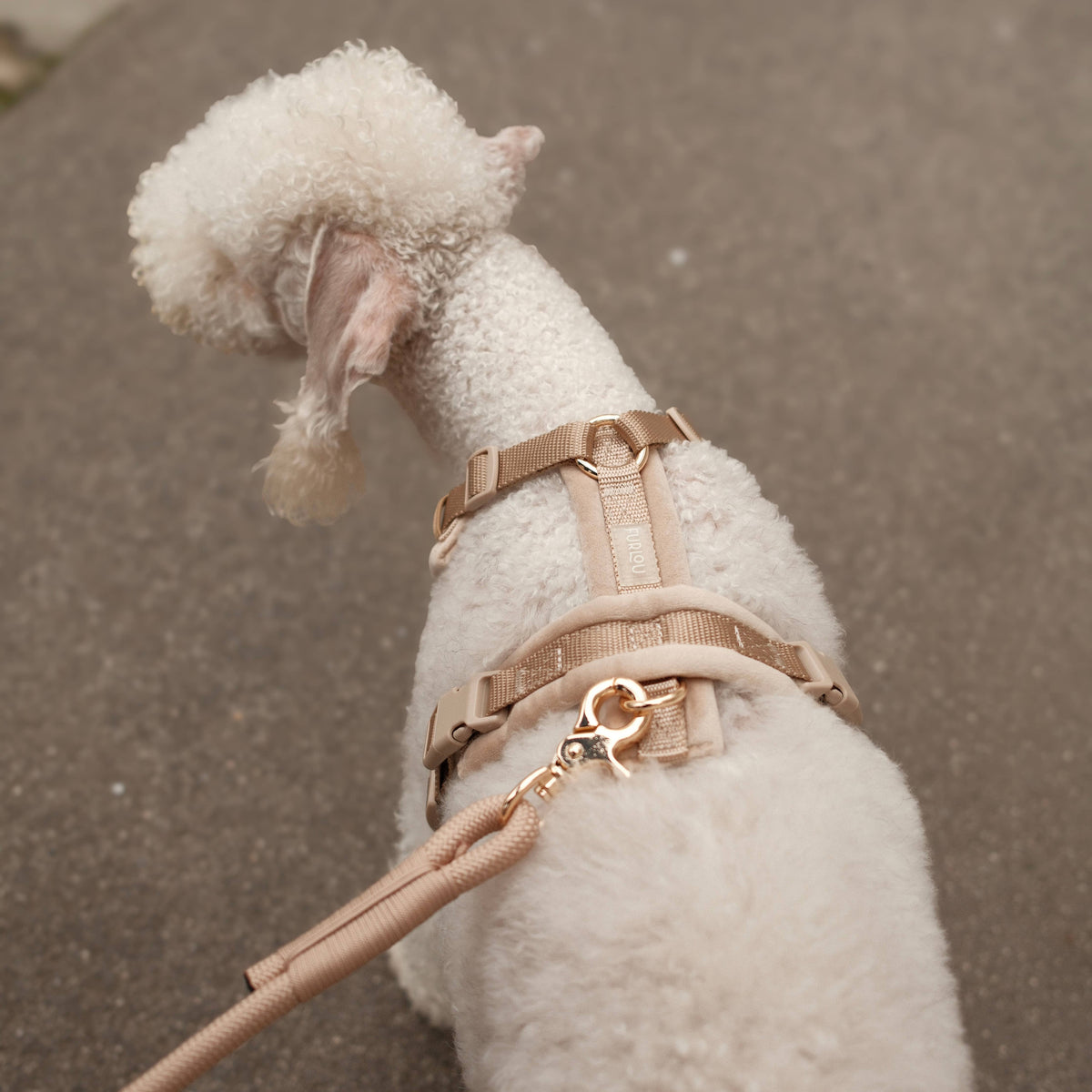 FURLOU VELVET SZELKI GUARD DLA PSA 'SAND' L