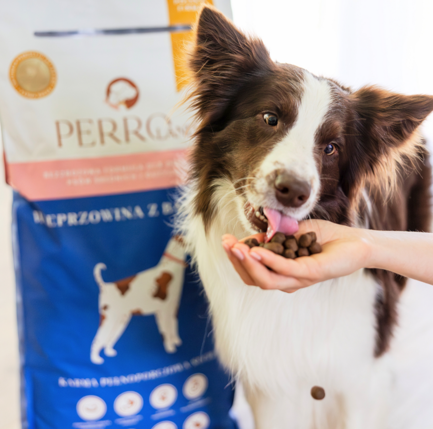 PERRO SUCHA KARMA DLA PSA WIEPRZOWINA Z BATATAMI ŚREDNIE I DUŻE RASY 12KG
