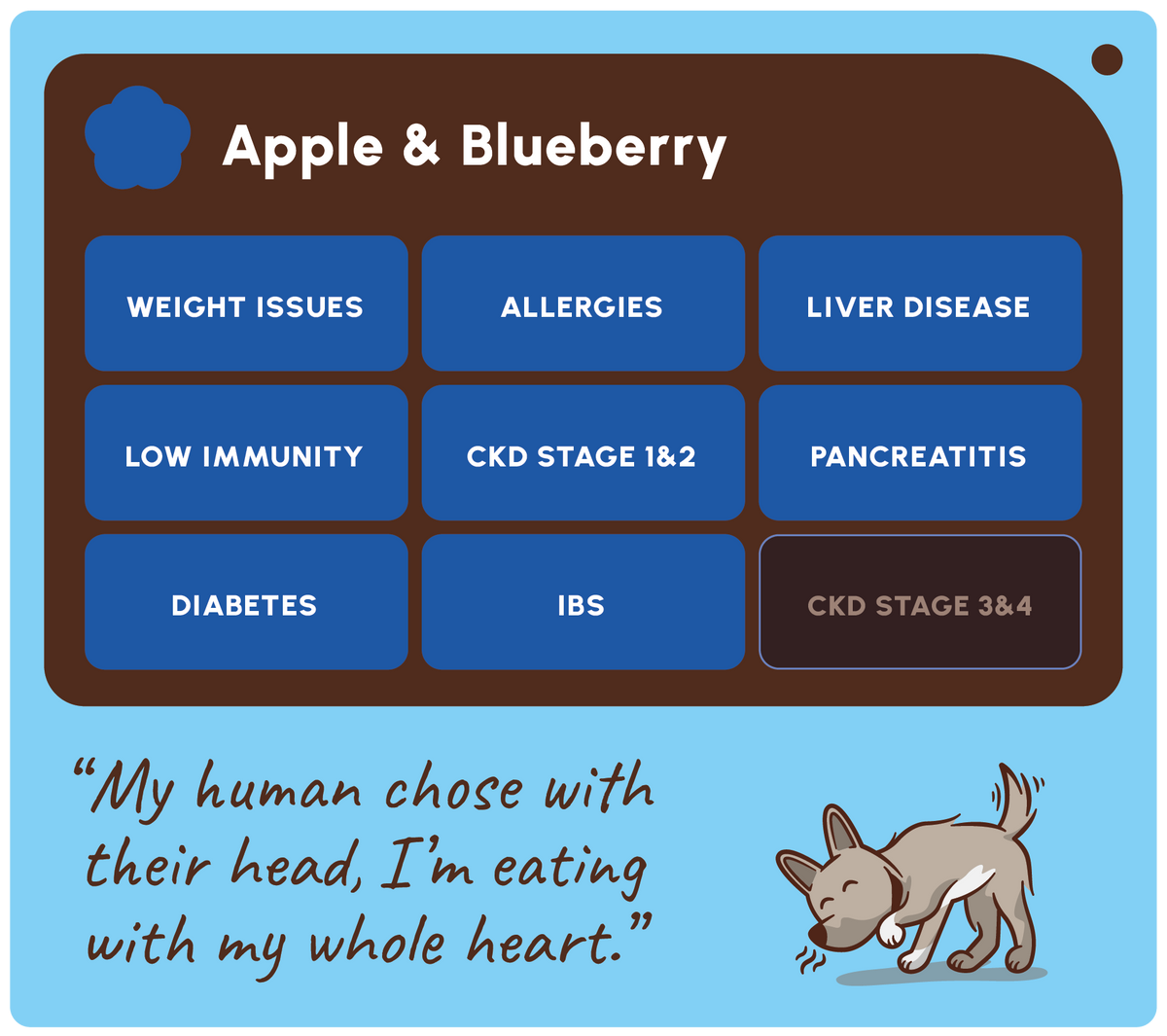 SOOPA DENTAL STICK PRZYSMAK DLA PSA APPLE BLUEBERRY 100G
