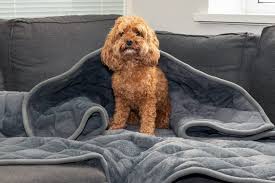 KONG WEIGHTED CALMING BLANKET - KOCYK DLA PSIAKA