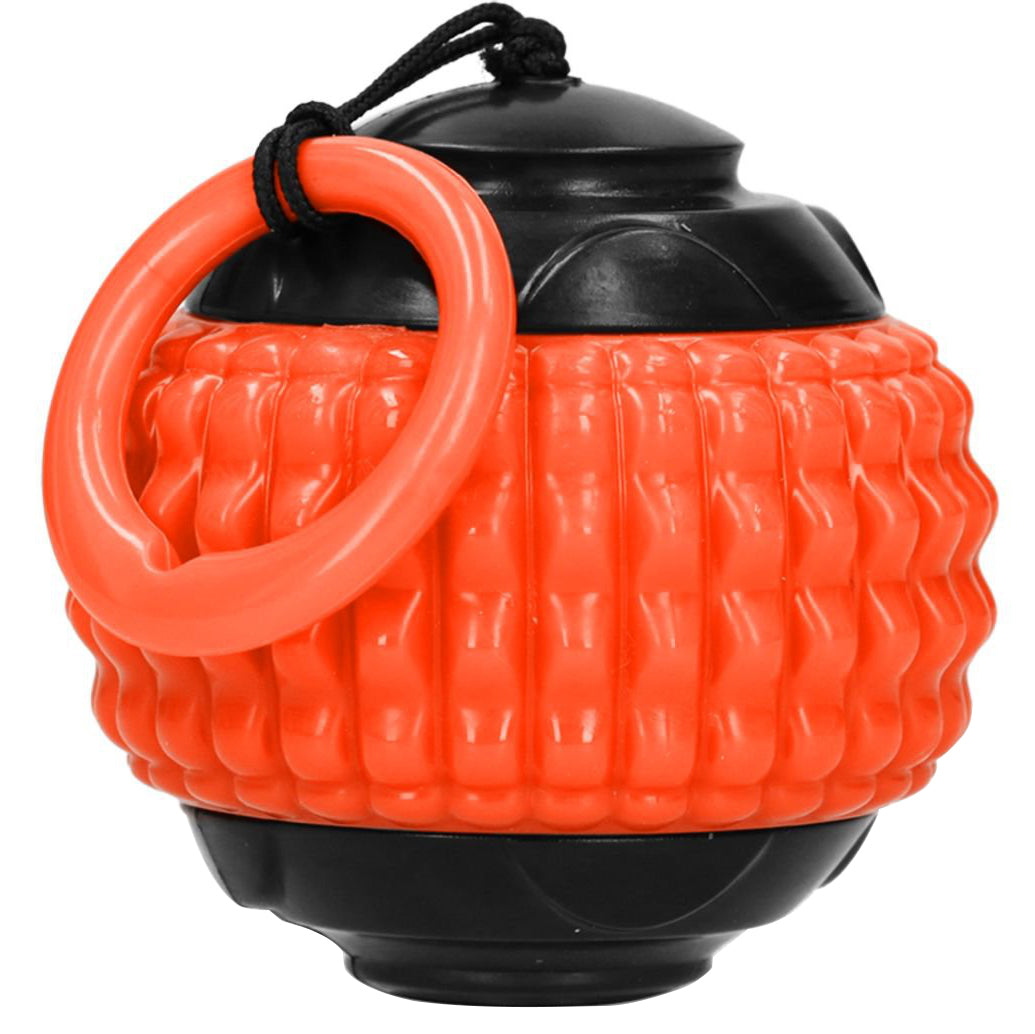 DOG COMETS BLAZAR JET ORANGE