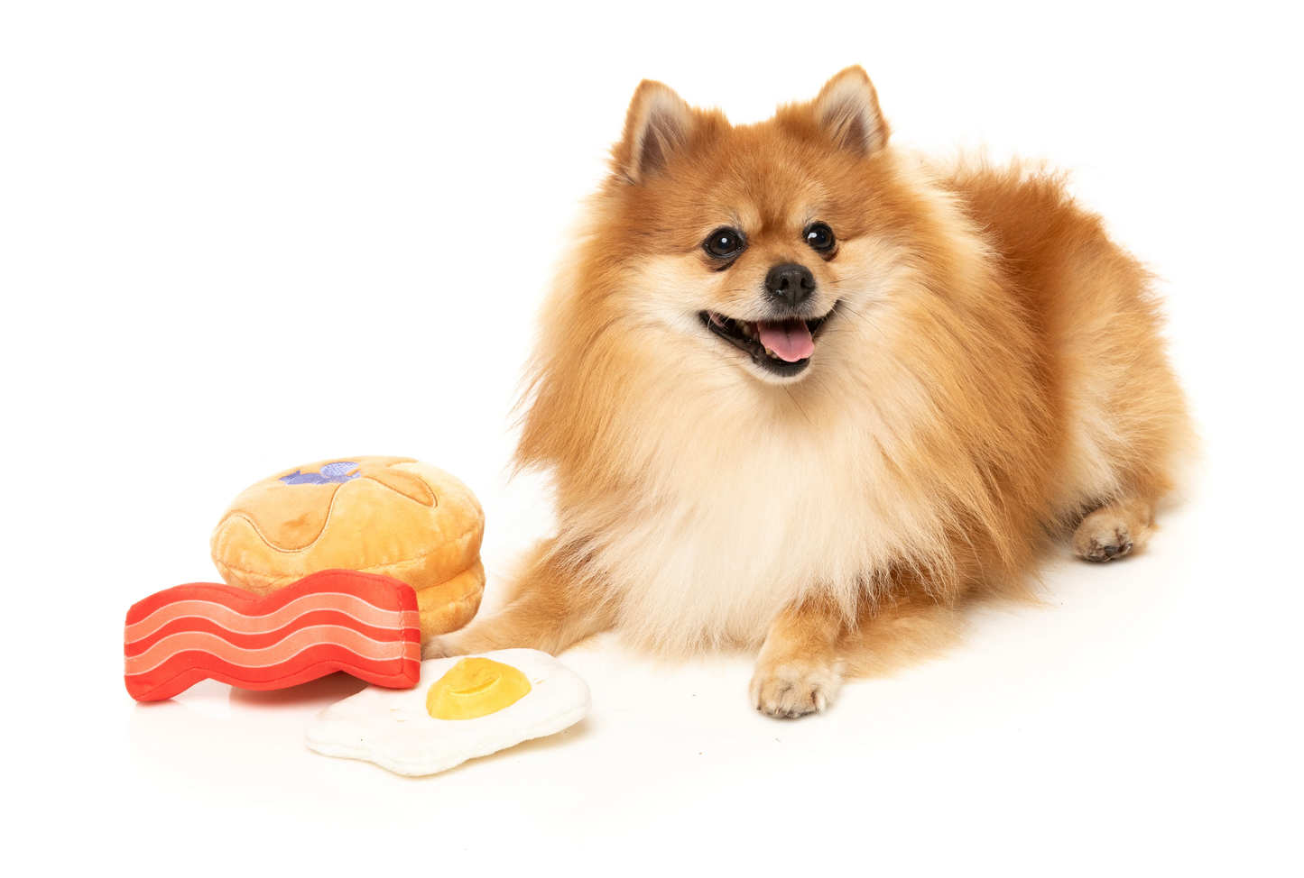 FUZZYARD DOG BREAKFAST 3PK - ZESTAW PLUSZOWYCH ZABAWEK