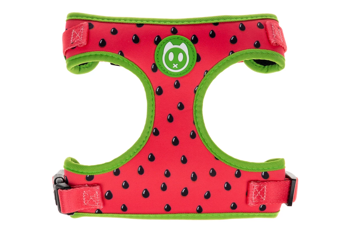 GOODY SZELKI AIR MESH REFRESHING DRINK L