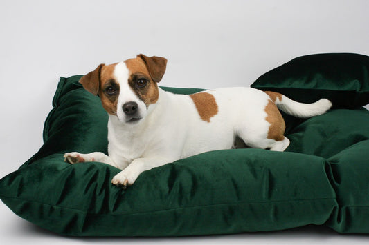 FABVELVET LEGOWISKO DLA PSA, WYMIARY 80/60 CM, VELVET TAPICERSKI - BUTELKOWA ZIELEŃ