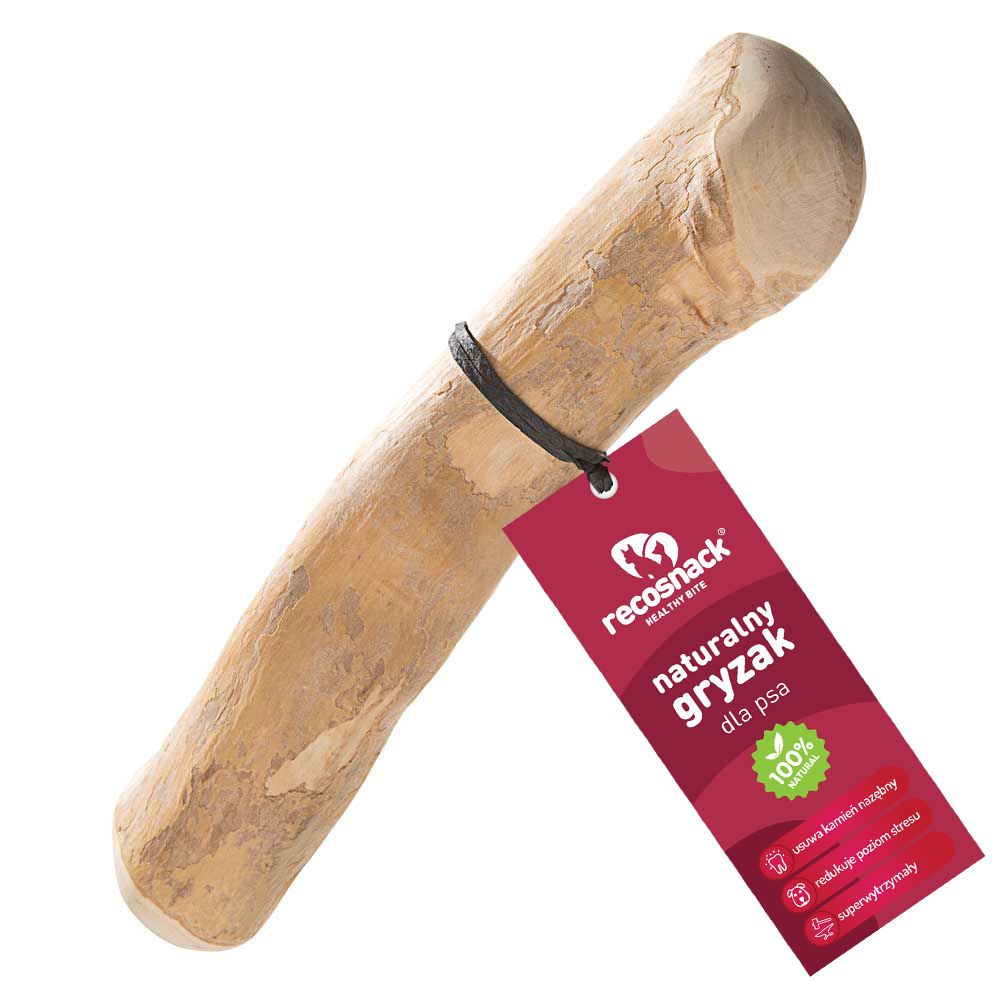 RECOSNACK PATYK Z DRZEWA KAWOWEGO M