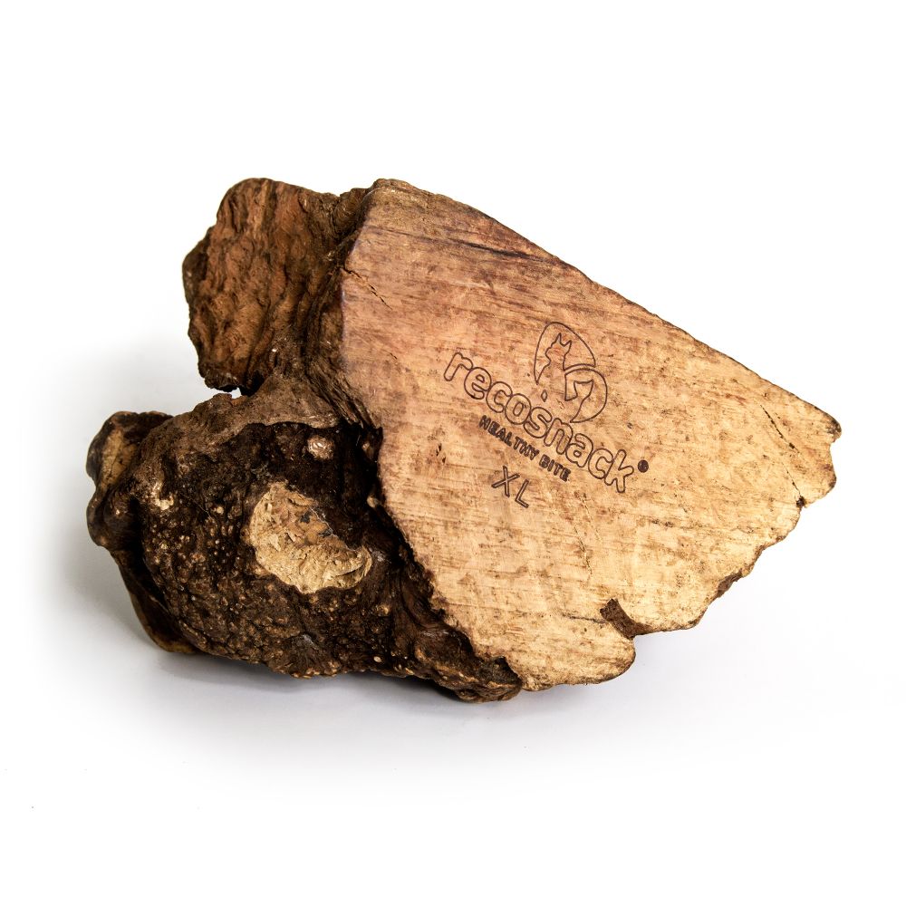 RECOSNACK KORZEŃ HISZPAŃSKIEGO DRZEWA WRZOSOWEGO XL