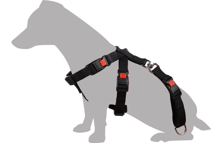 FLAMINGO CAR SAFETY HARNESS DUMA BLACK M 31,5-46X36-55CM