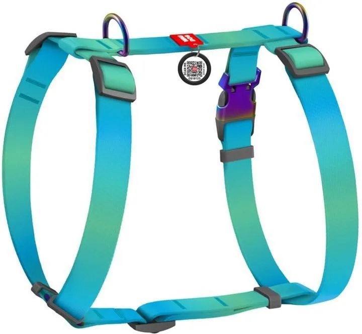WAUDOG NYLON SZELKI GUARD L 25 MM NIEBIESKI