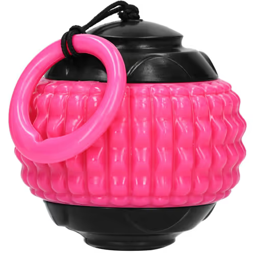 DOG COMETS BLAZAR JET PINK