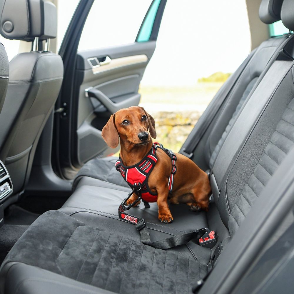 KONG SEAT BELT TETHER