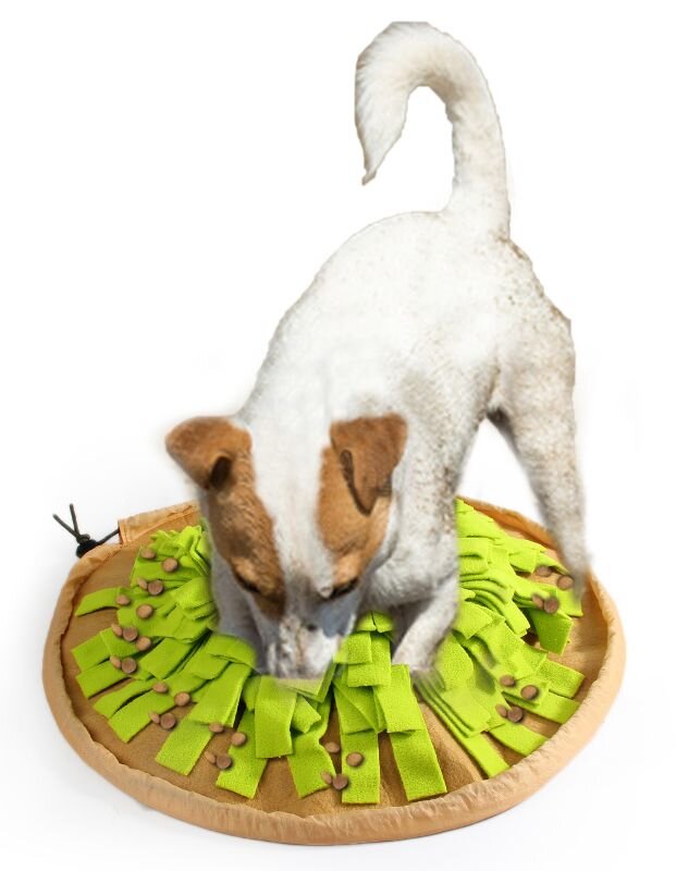 AFP DIG IT - FOLDABLE TREAT MAT