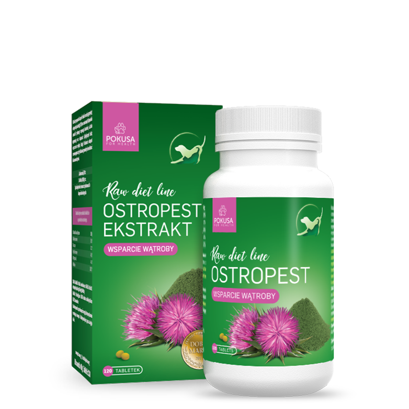 POKUSA RAW DIET LINE OSTROPEST EKSTRAKT 120 TABLETEK