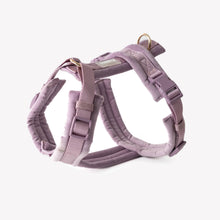 FURLOU VELVET SZELKI GUARD DLA PSA 'LILAC' M