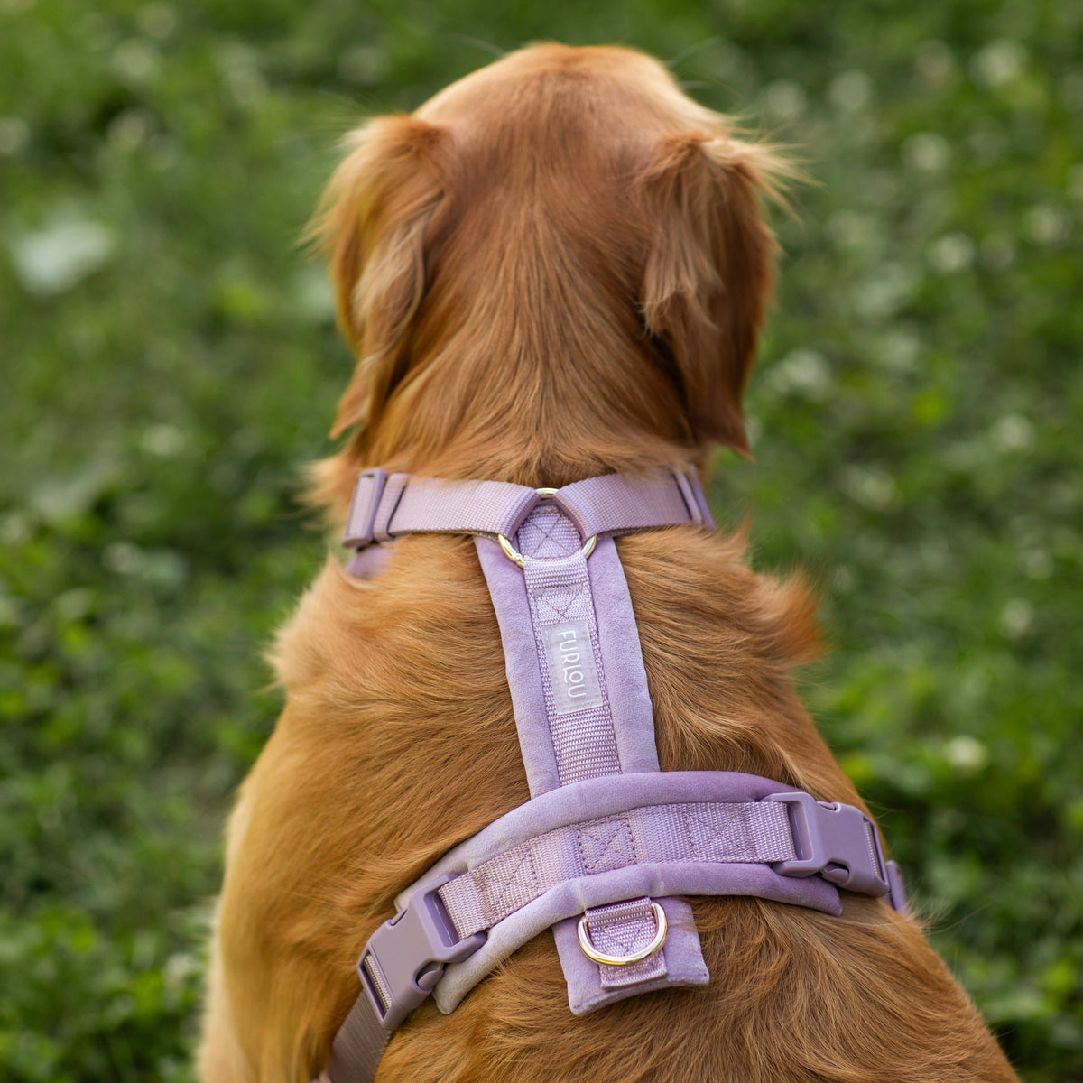 FURLOU VELVET SZELKI GUARD DLA PSA 'LILAC' L
