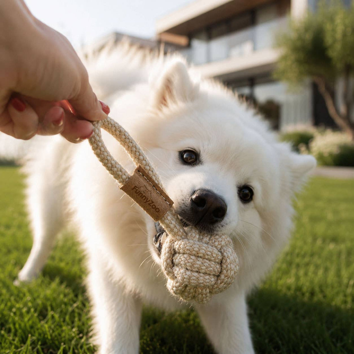 FUNNY ZOO MINI ROPE BALL Z UCHWYTEM DLA MAŁYCH PSÓW 🏐