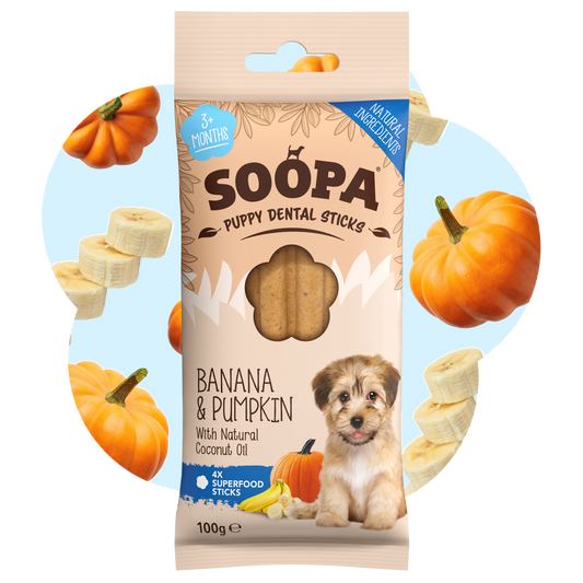 SOOPA PUPPY DENTAL STICK PRZYSMAK DLA PSA BANANA PUMPKIN 100G