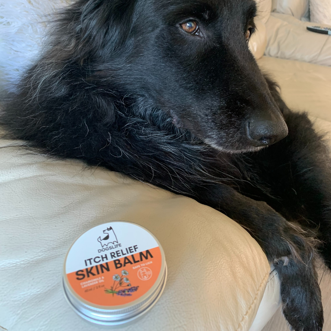 OURPETSLIFE BALSAM ŁAGODZĄCY SWĘDZENIE DLA PSÓW