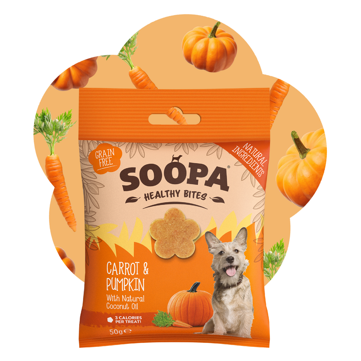 SOOPA HEALTHY BITES PRZYSMAK DLA PSA CARROT PUMPKIN 50G