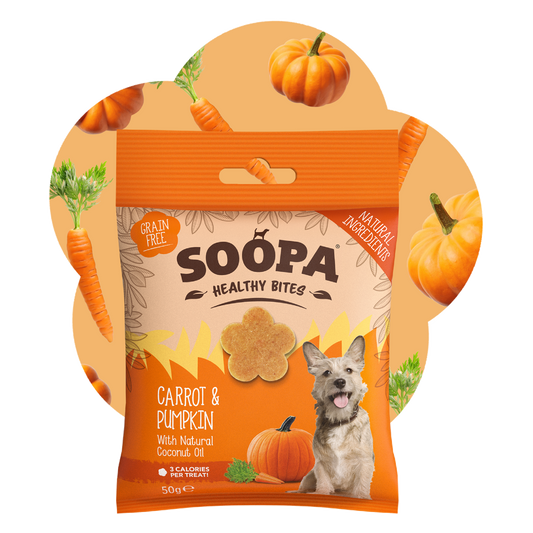 SOOPA HEALTHY BITES PRZYSMAK DLA PSA CARROT PUMPKIN 50G