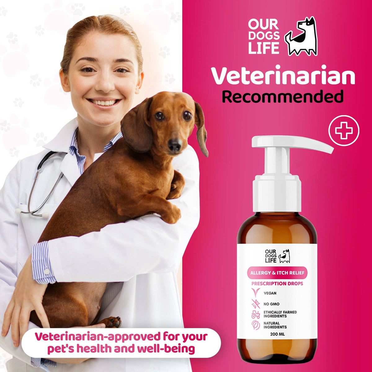 OURPETSLIFE ULGA W SWĘDZENIU I ALERGIACH U PSÓW