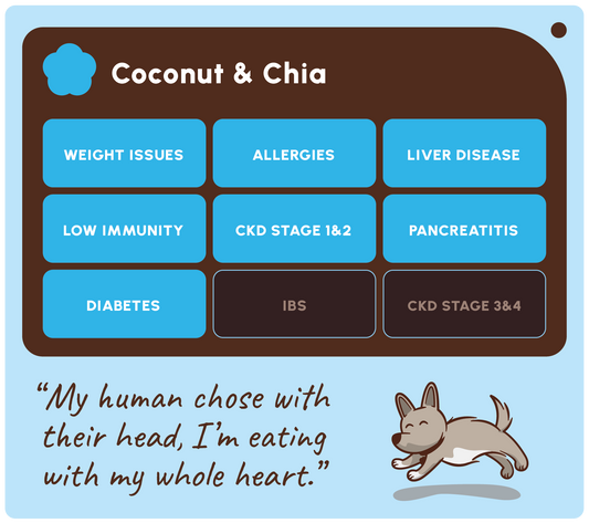 SOOPA HEALTHY BITES PRZYSMAK DLA PSA COCONUT CHIA SEED 50G