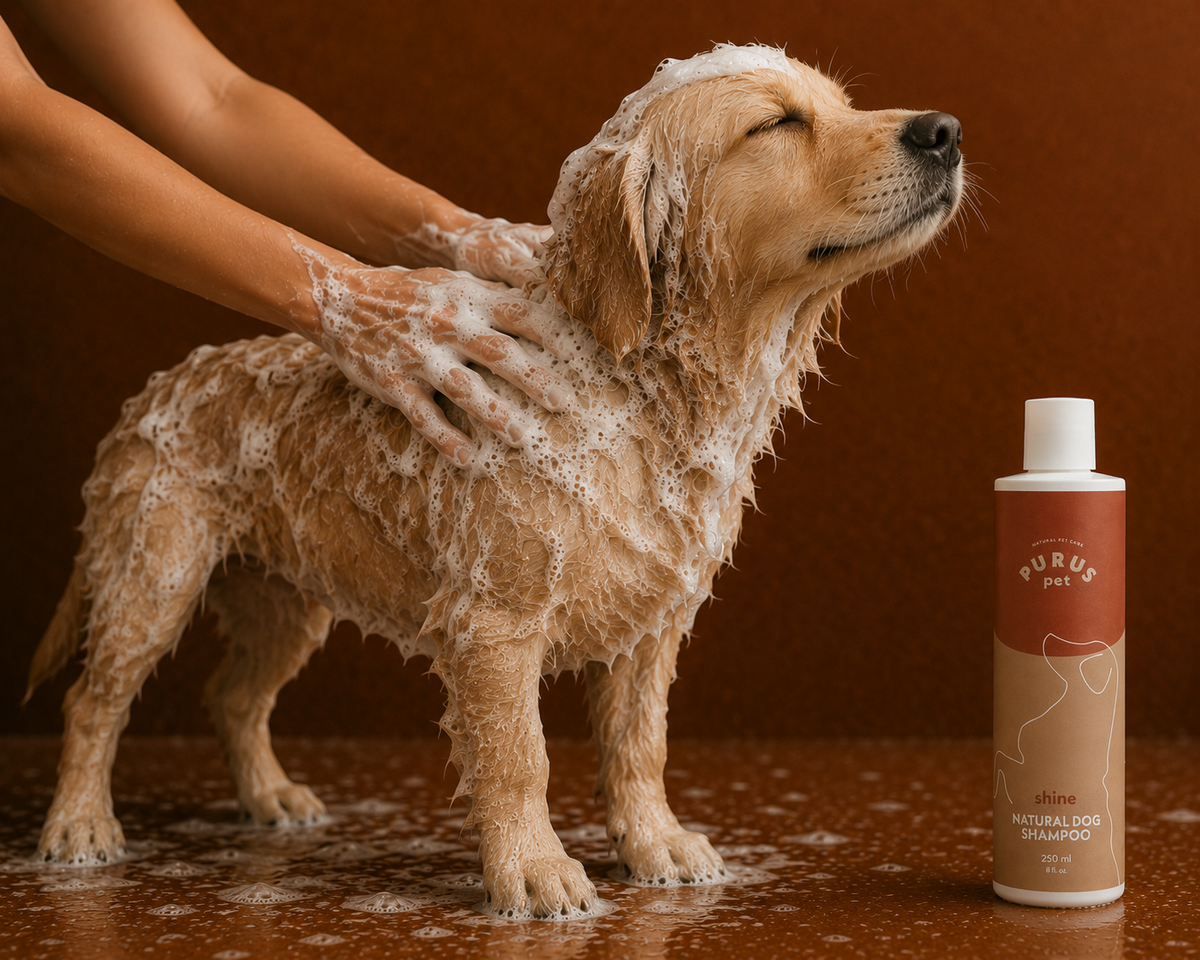 PURUS PET SZAMPON SHINE DLA PSÓW – ODŻYWCZA PIELĘGNACJA I LŚNIĄCA SIERŚĆ 250 ML