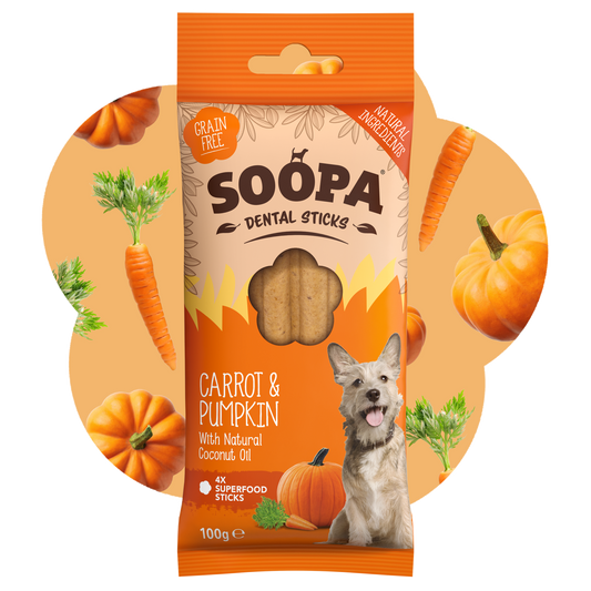 SOOPA DENTAL STICK PRZYSMAK DLA PSA CARROT PUMPKIN 100G