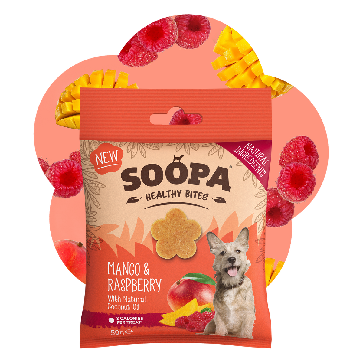 SOOPA HEALTHY BITES PRZYSMAK DLA PSA MANGO RASPBERRY 50G