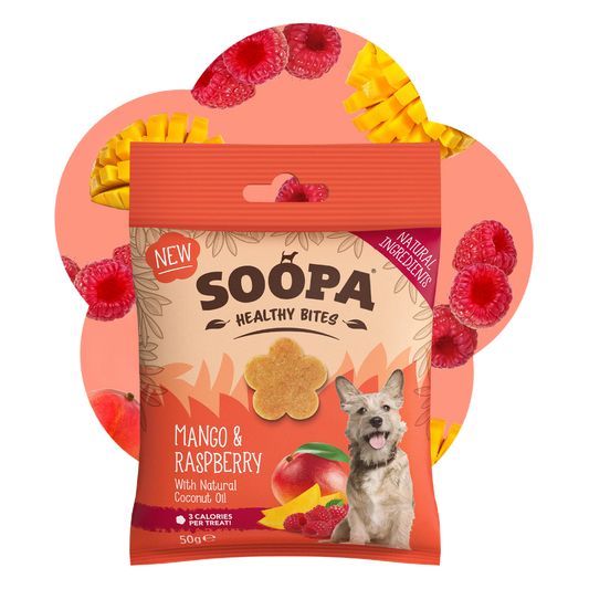 SOOPA HEALTHY BITES PRZYSMAK DLA PSA MANGO RASPBERRY 50G
