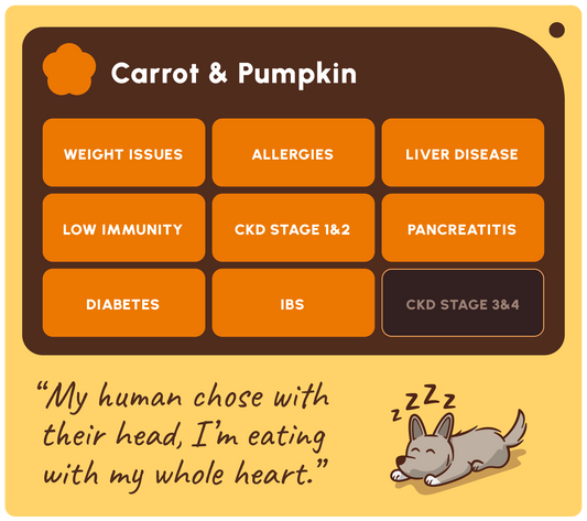 SOOPA DENTAL STICK PRZYSMAK DLA PSA CARROT PUMPKIN 100G