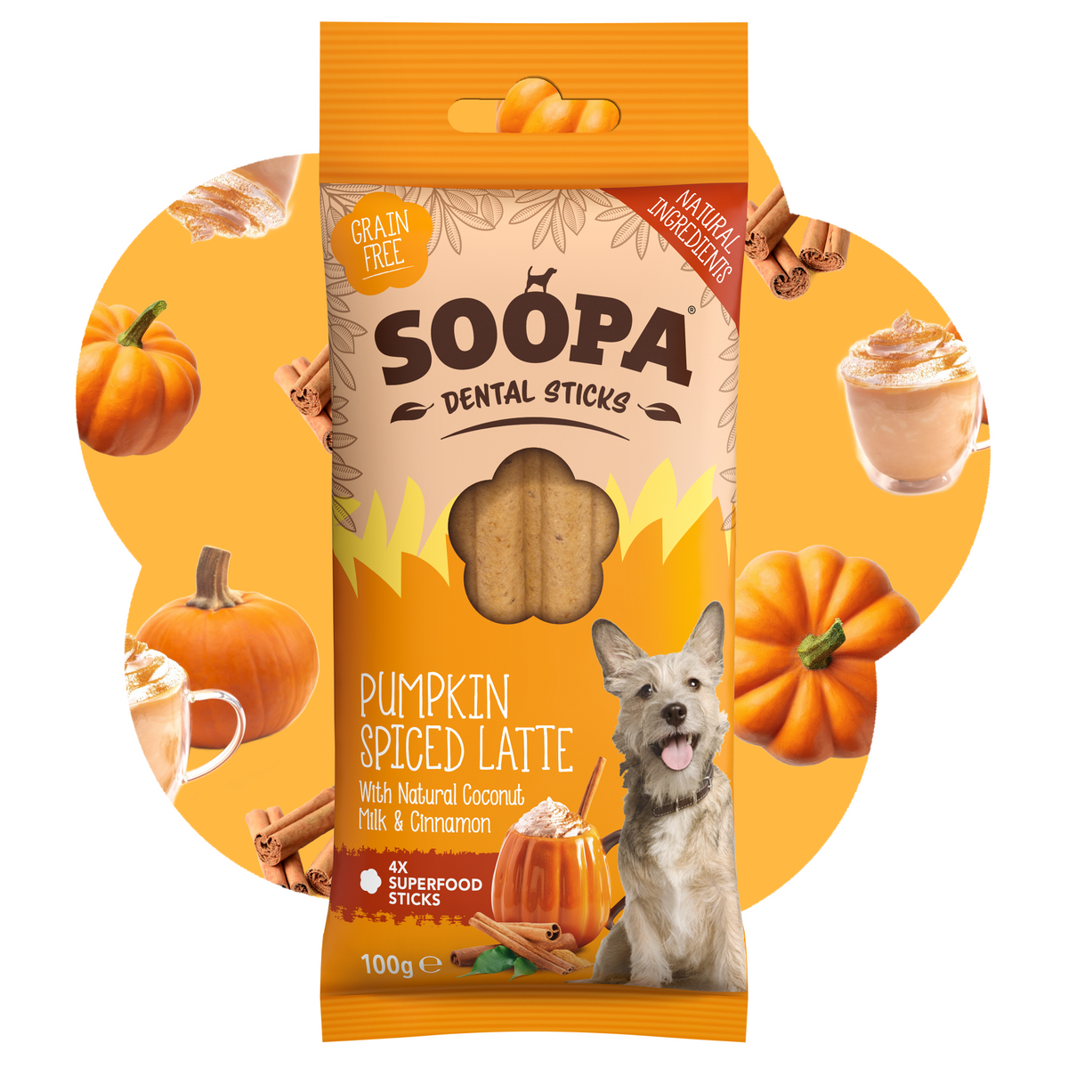 SOOPA DENTAL STICK PRZYSMAK DLA PSA PUMPKIN SPICED LATTE 100G