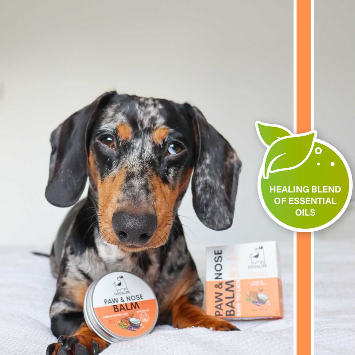 OURPETSLIFE BALSAM OCHRONNY DO ŁAP I NOSA