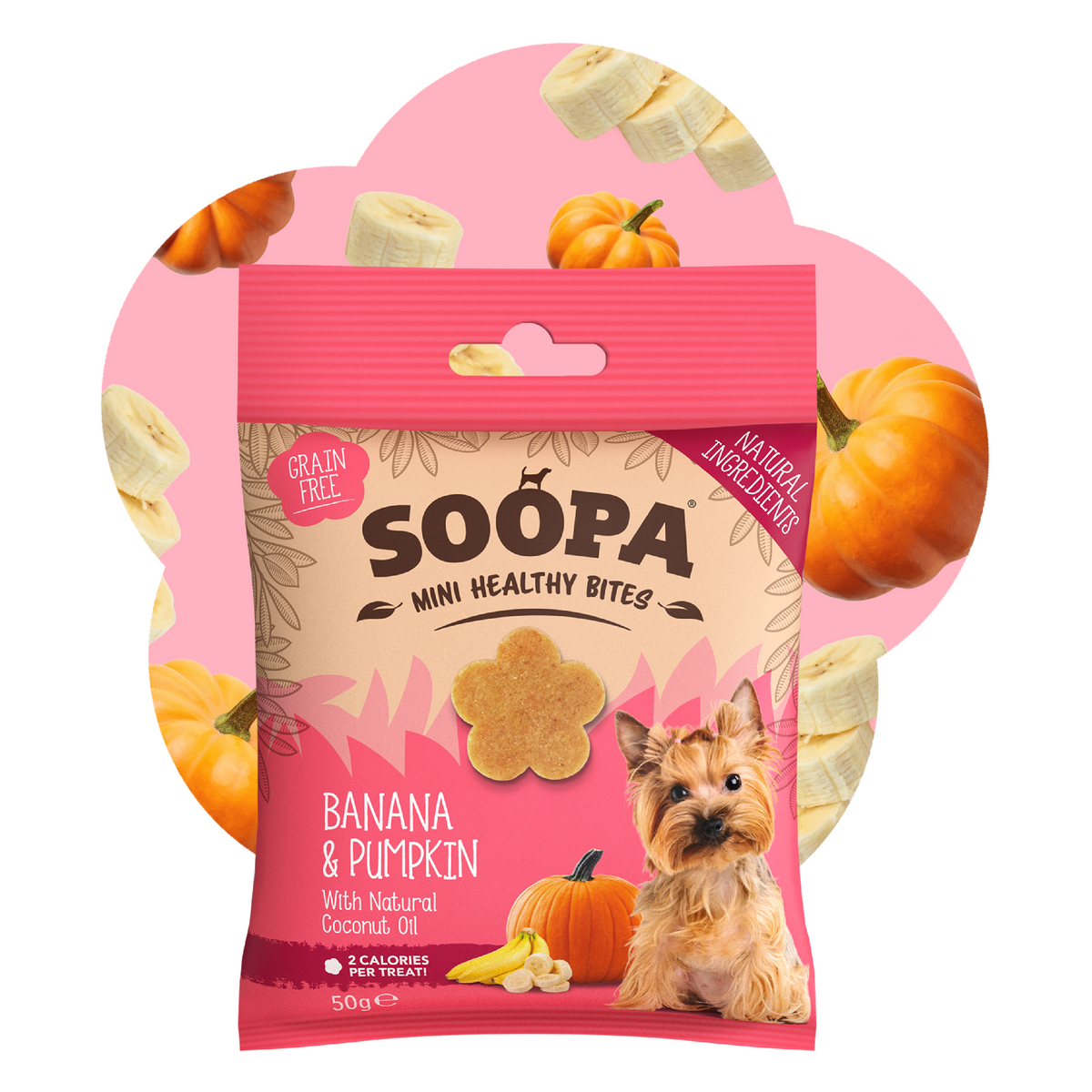SOOPA MINI HEALTHY BITES PRZYSMAK DLA PSA BANANA PUMPKIN 50G