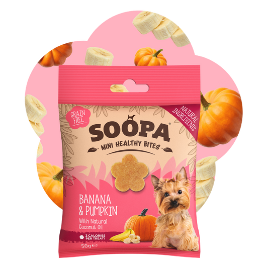 SOOPA MINI HEALTHY BITES PRZYSMAK DLA PSA BANANA PUMPKIN 50G
