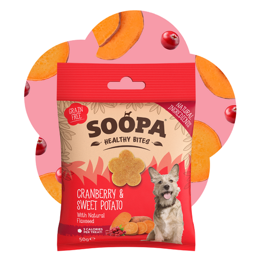 SOOPA HEALTHY BITES PRZYSMAK DLA PSA CRANBERRY SWEET POTATO 50G