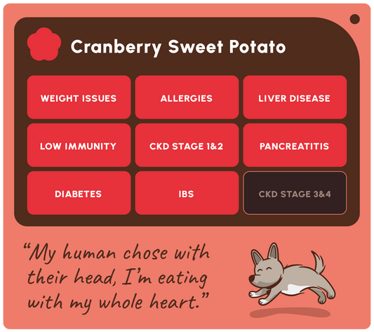 SOOPA HEALTHY BITES PRZYSMAK DLA PSA CRANBERRY SWEET POTATO 50G