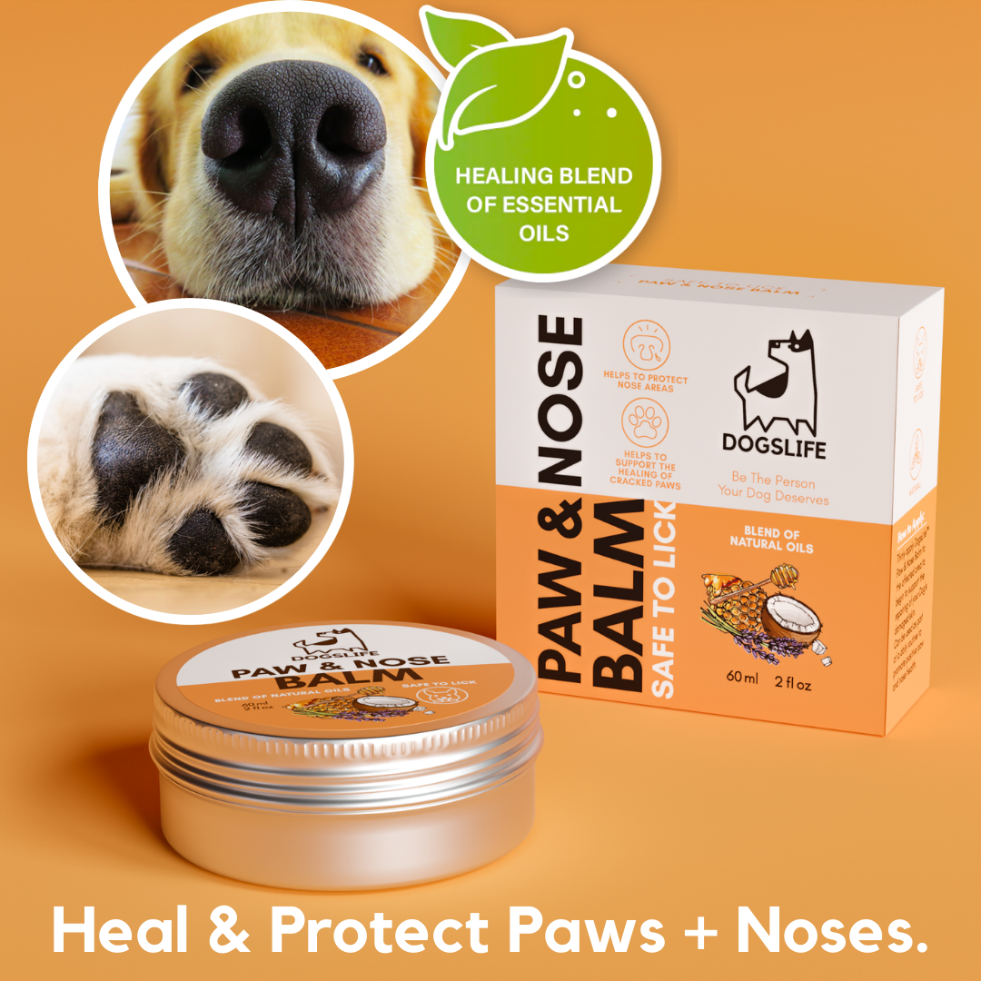OURPETSLIFE BALSAM OCHRONNY DO ŁAP I NOSA