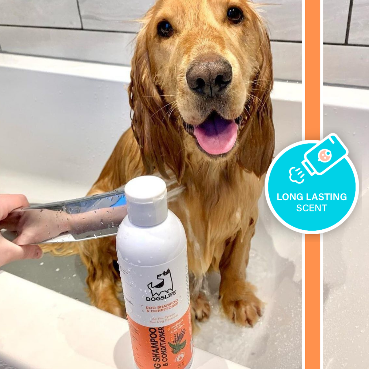 OURPETSLIFE SZAMPON I ODŻYWKA 2 W 1 DLA PSÓW