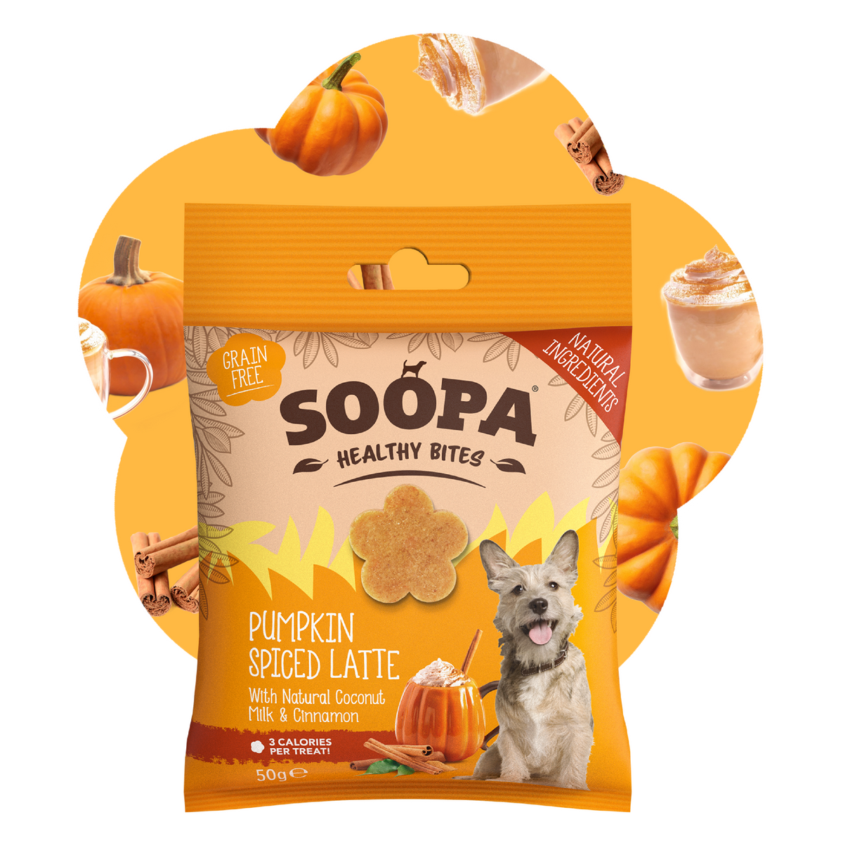 SOOPA HEALTHY BITES PRZYSMAK DLA PSA PUMPKIN SPICED LATTE 50G