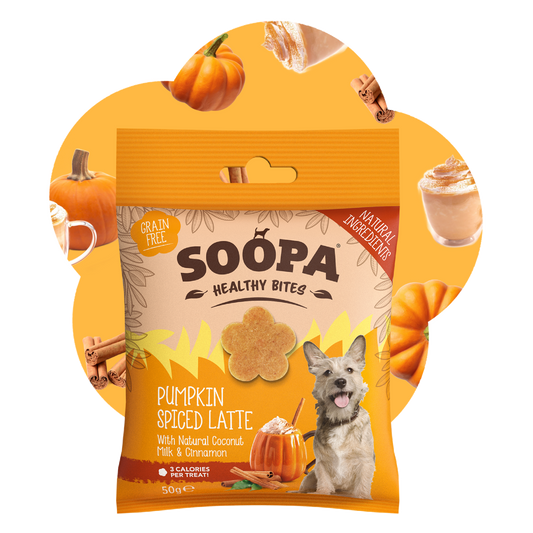 SOOPA HEALTHY BITES PRZYSMAK DLA PSA PUMPKIN SPICED LATTE 50G