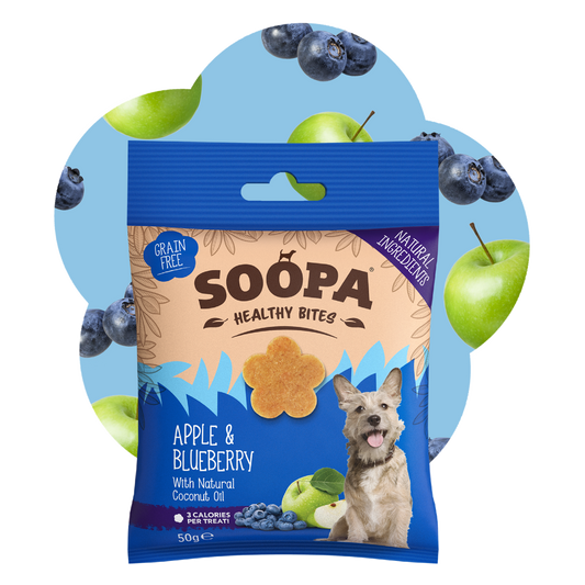 SOOPA HEALTHY BITES PRZYSMAK DLA PSA APPLE BLUEBERRY 50G