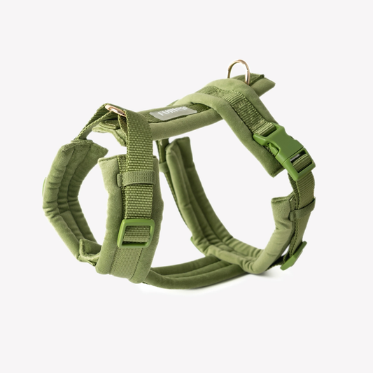 FURLOU VELVET SZELKI GUARD DLA PSA 'GREEN' S