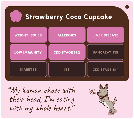 SOOPA HEALTHY BITES PRZYSMAK DLA PSA STRAWBERRY COCO CREAM CUPCAKE 50G
