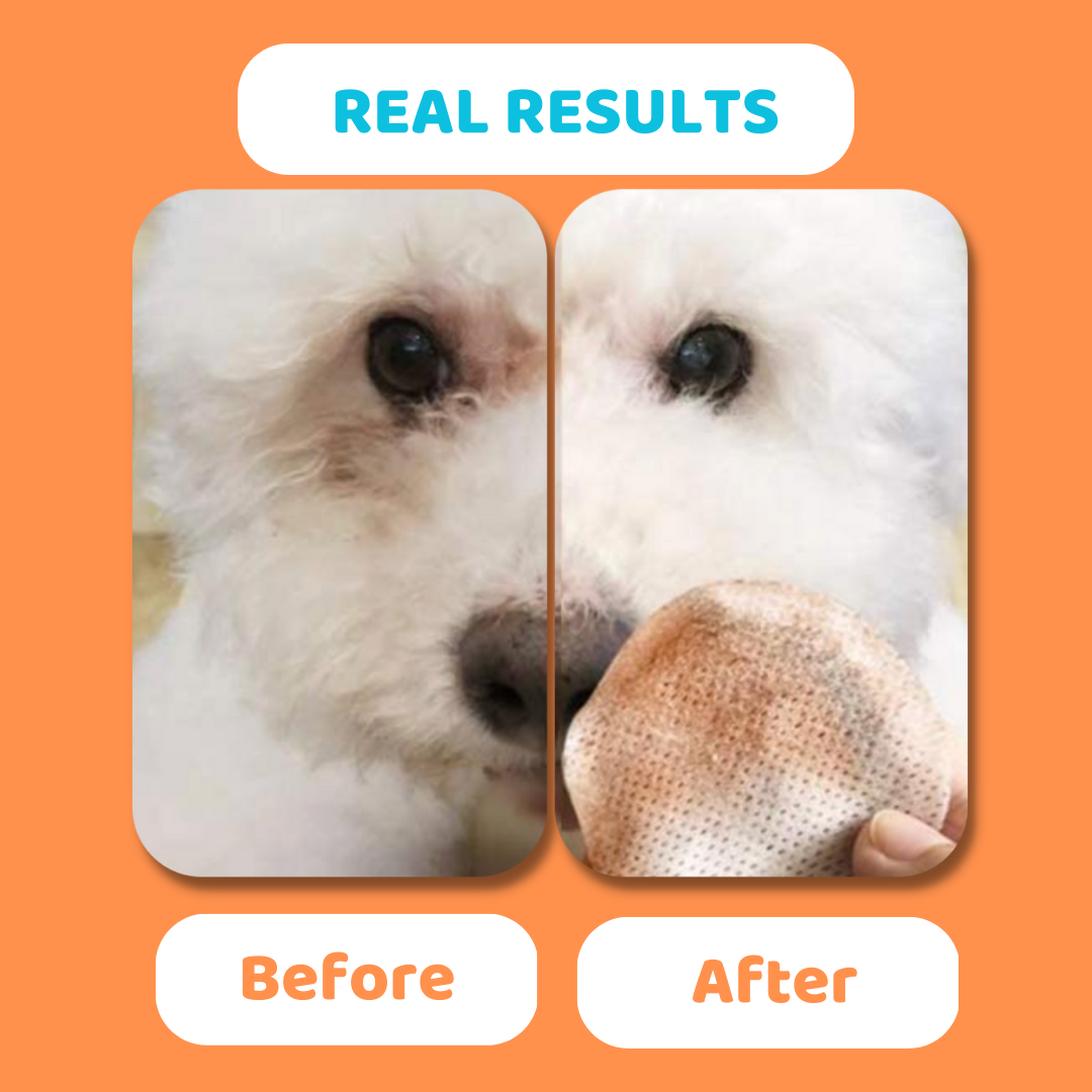 OURPETSLIFE CHUSTECZKI DO OCZU DLA PSÓW
