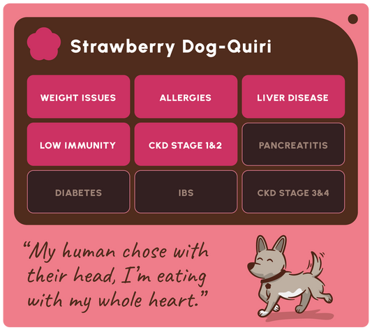 SOOPA HEALTHY BITES PRZYSMAK DLA PSA STRAWBERRY DOG-QUIRI 50G