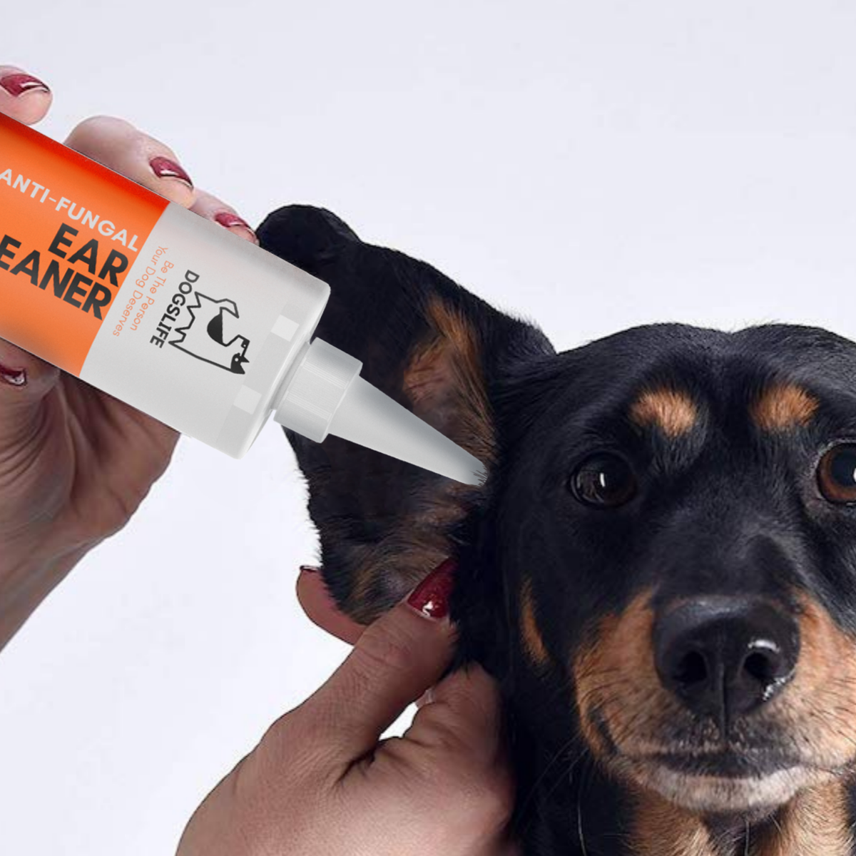 OURPETSLIFE PŁYN DO CZYSZCZENIA USZU PSA