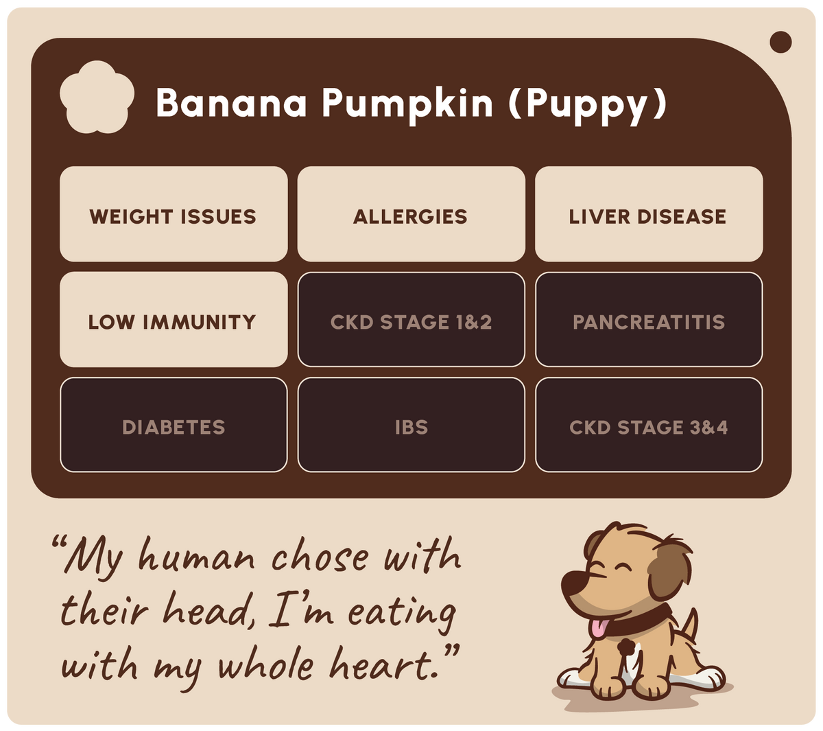 SOOPA PUPPY DENTAL STICK PRZYSMAK DLA PSA BANANA PUMPKIN 100G